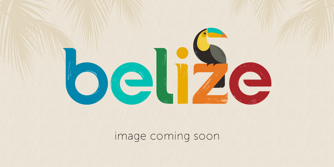 Did you see these creative tourist board slogans from around the world